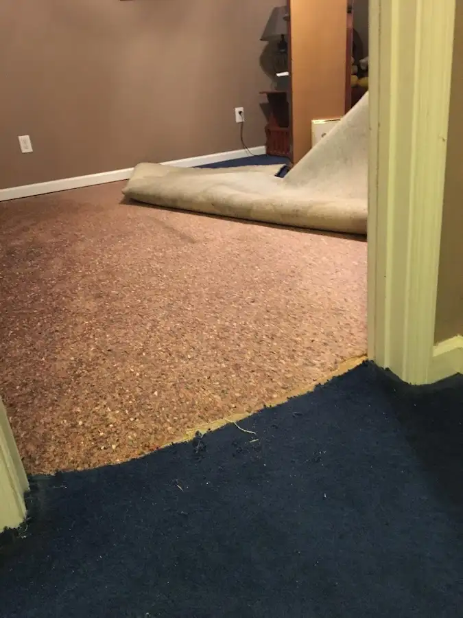 Carpet pad removal revealing water damage during Water Mitigation Services in Circleville
